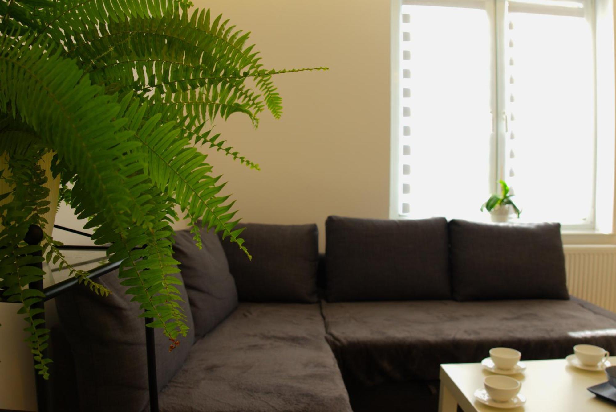 Apartament Centrum Rynek ブンツラウ エクステリア 写真